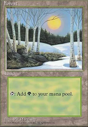 Forêt