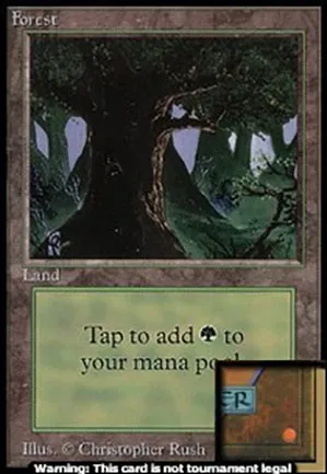 Forêt