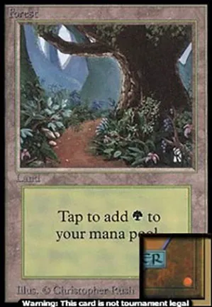 Forêt