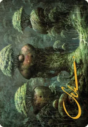 Forêt - Illustration