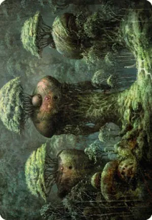 Forêt - Illustration
