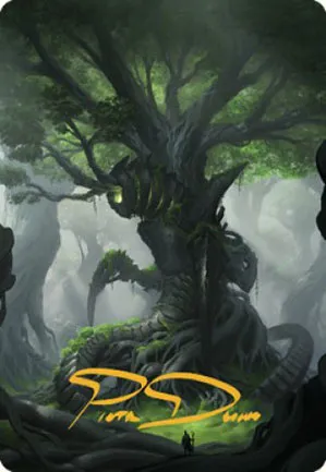 Forêt - Illustration