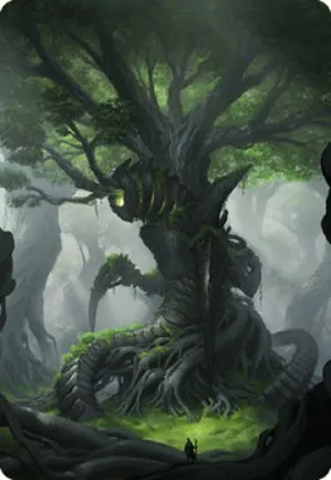 Forêt - Illustration