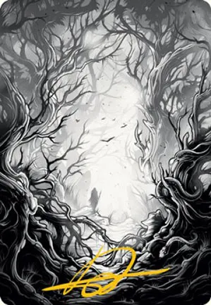 Forêt - Illustration