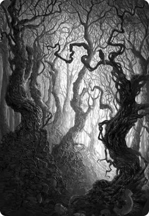 Forêt - Illustration