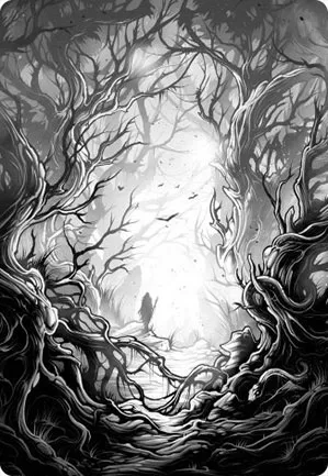 Forêt - Illustration