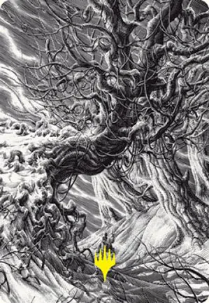 Forêt - Illustration