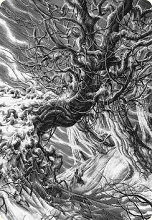Forêt - Illustration