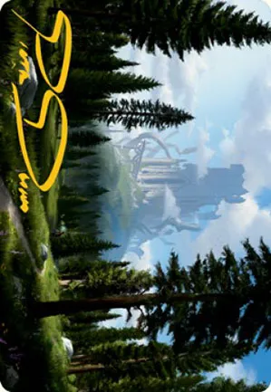 Forêt - Illustration