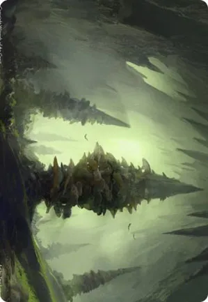 Forêt - Illustration
