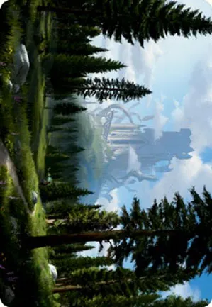 Forêt - Illustration