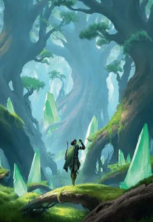 Forêt - Illustration
