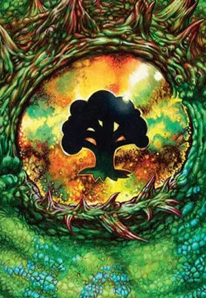 Forêt - Illustration