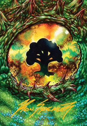 Forêt - Illustration