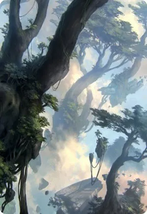 Forêt - Illustration