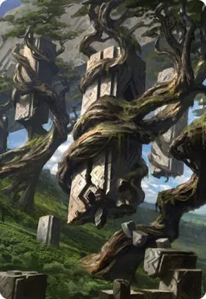 Forêt - Illustration