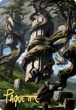 Forêt - Illustration