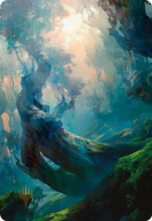 Forêt - Illustration