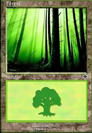 Forêt