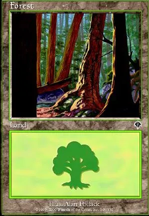 Forêt