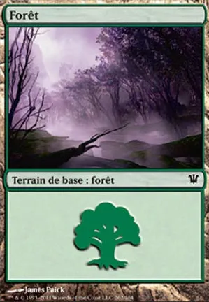 Forêt
