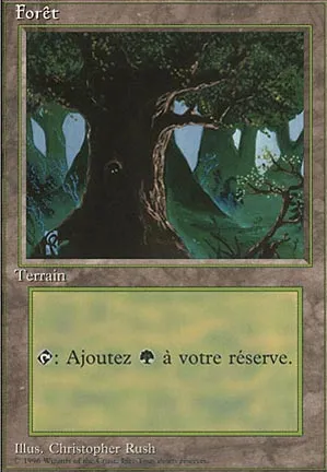 Forêt