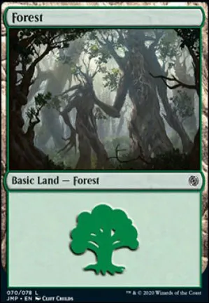 Forêt