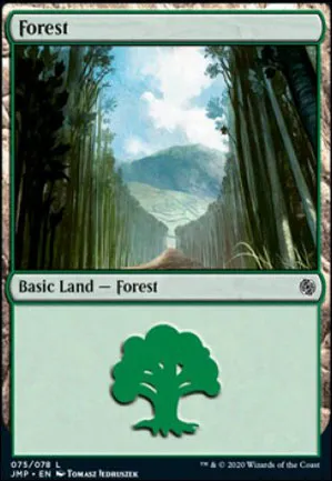 Forêt