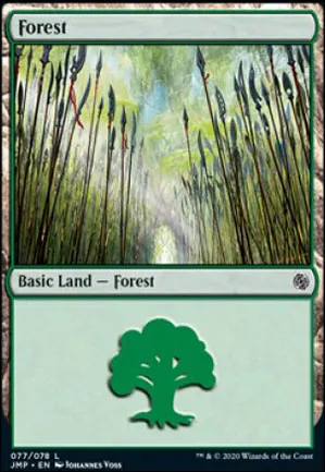 Forêt