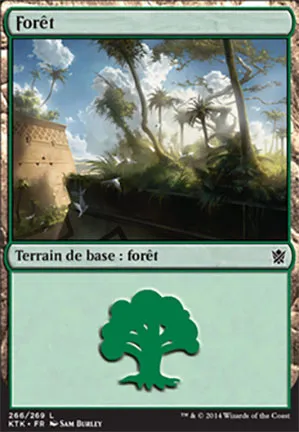Forêt