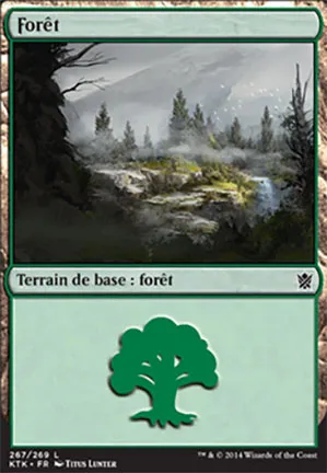 Forêt