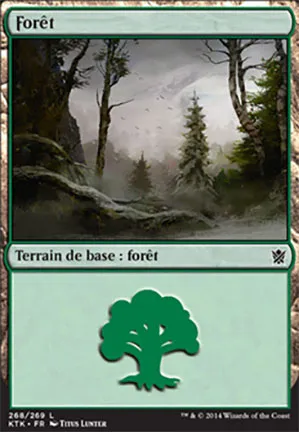 Forêt