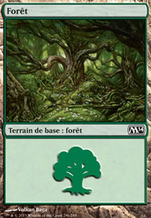 Forêt