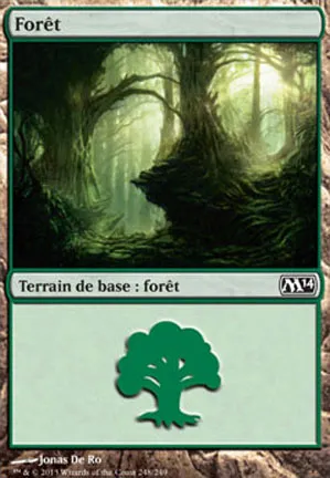 Forêt