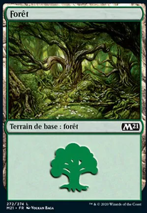 Forêt