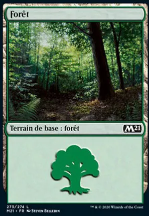 Forêt