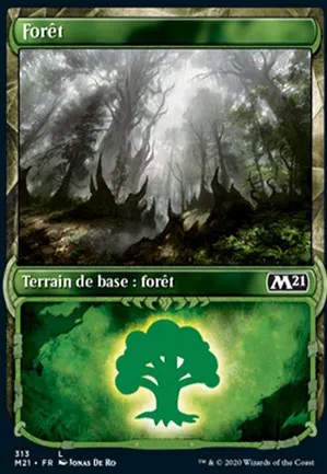 Forêt