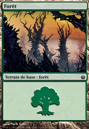 Forêt