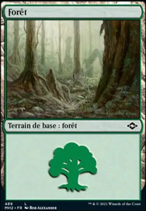 Forêt
