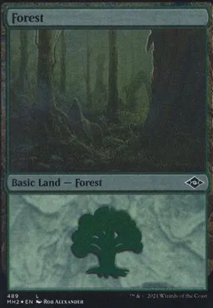 Forêt