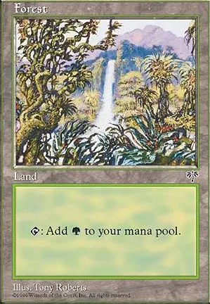 Forêt