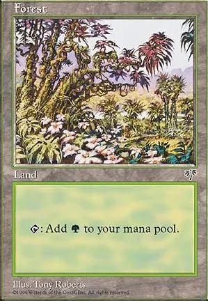 Forêt