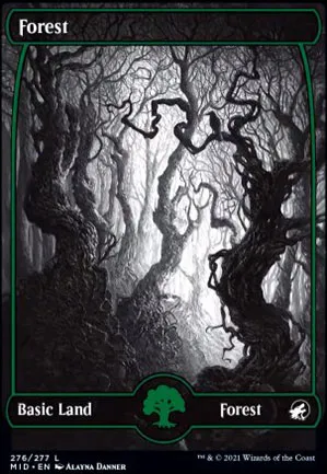 Forêt