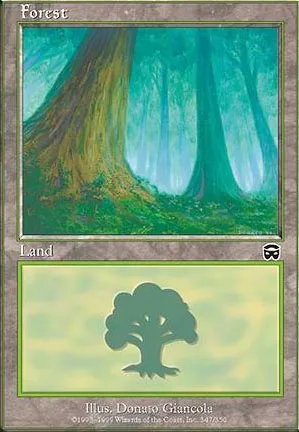 Forêt