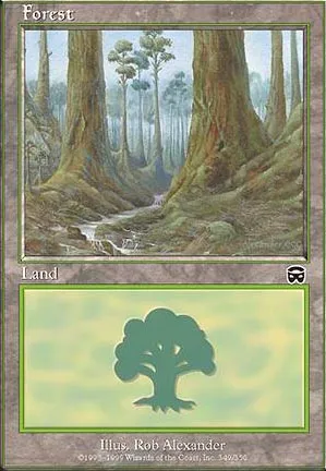 Forêt