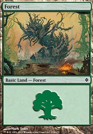 Forêt