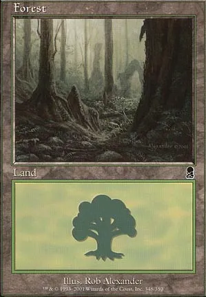 Forêt