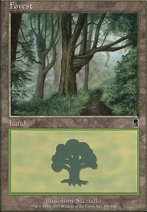 Forêt