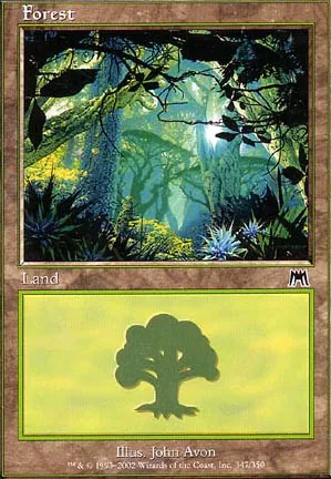 Forêt