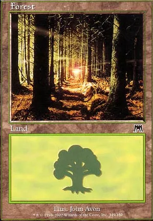 Forêt